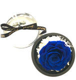 Fairy Tale Rose