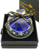 Fairy Tale Rose