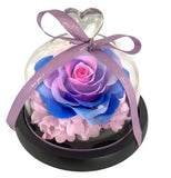 Fairy Tale Rose