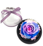 Fairy Tale Rose
