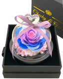 Fairy Tale Rose