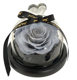 Fairy Tale Rose