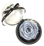 Fairy Tale Rose