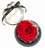 Fairy Tale Rose