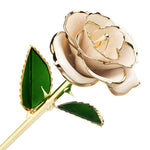 Golden Rose